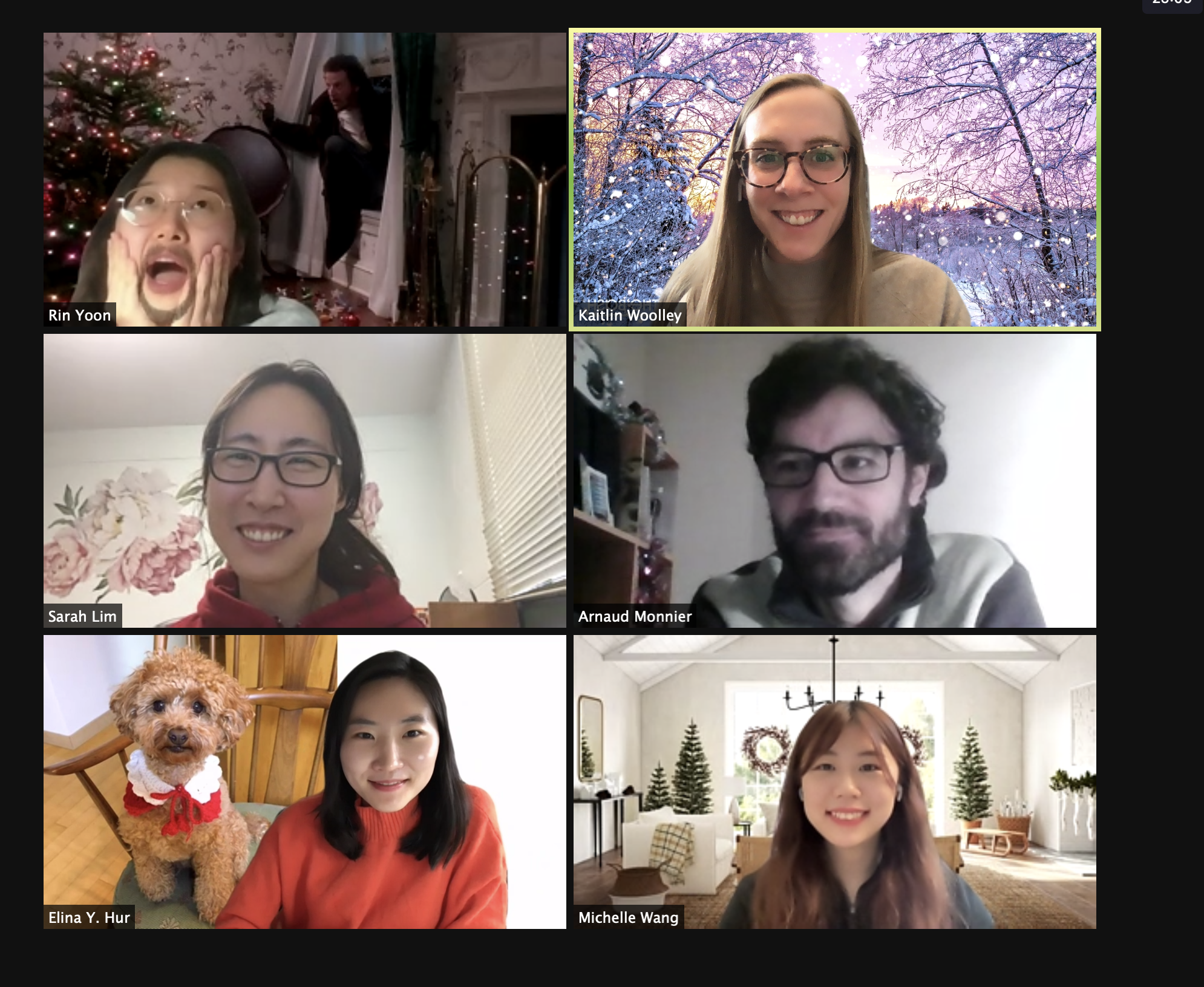 Final lab meeting of 2020